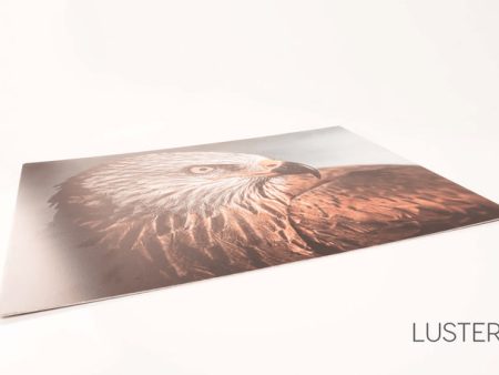 Quartz Film Laminate, Luster 4 mil - 25.5 x50  on Sale